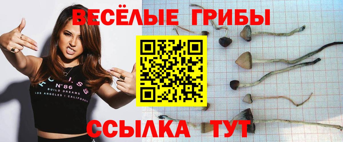 Галлюциногенные грибы MAGIC MUSHROOMS Оренбург