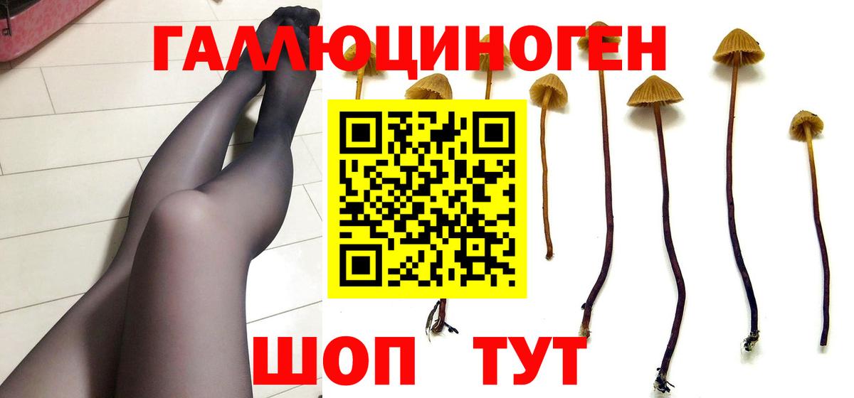 Галлюциногенные грибы Psilocybine cubensis  Вход с VPN  купить закладку  Оренбург 